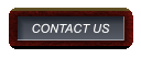 CONTACT US CONTACT US